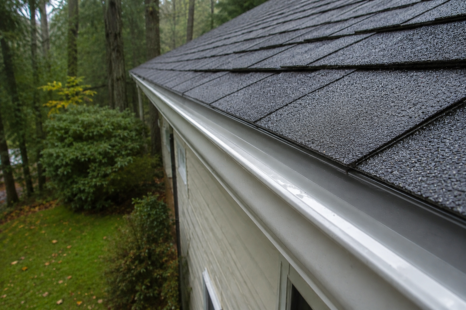 Tree-Lined Roof