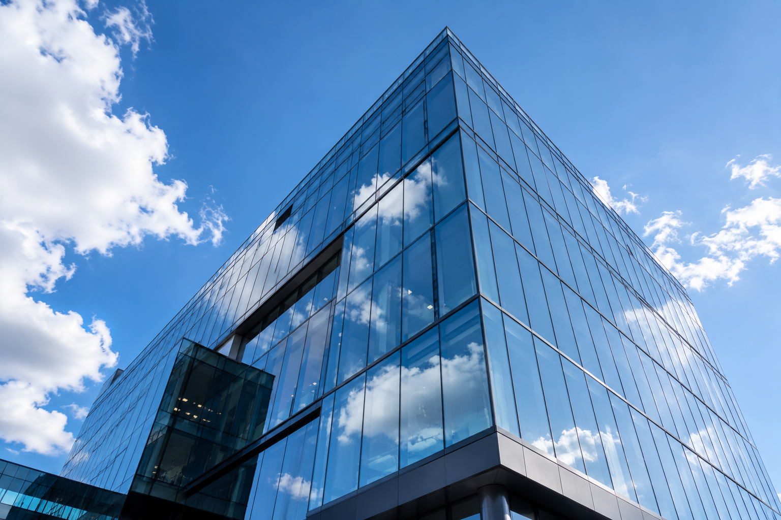 Commercial Window Cleaning